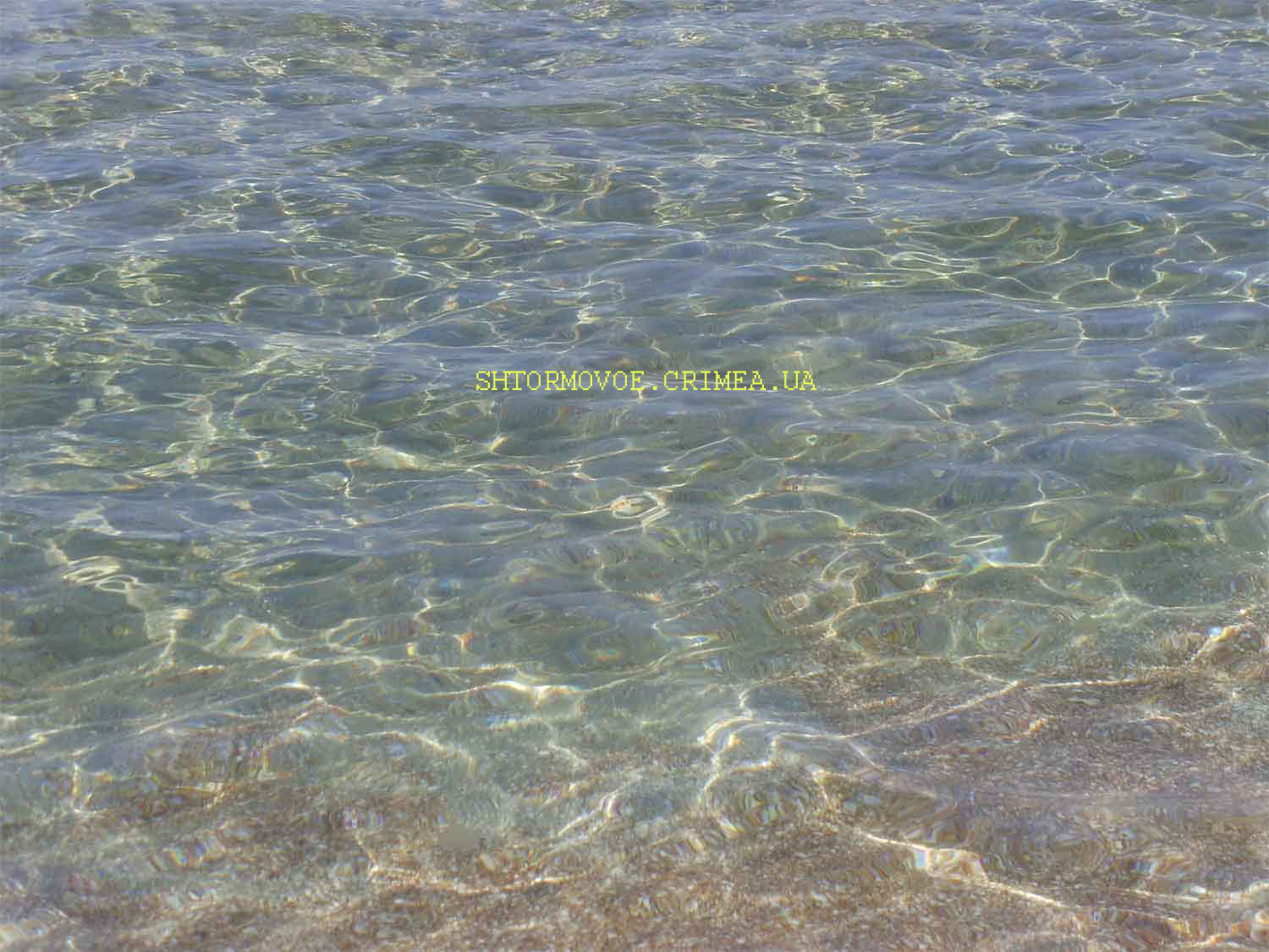 Штормовое - чистое прозрачное море у берегов Штормового, Крым(недалеко от Евпатории и Тарханкута ). Отдыхайте в экологически чистых районах.